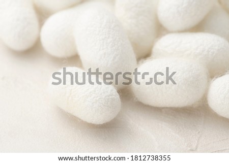 The silk in the cocoon. The silk moth can be unraveled to harvest silk fibre.