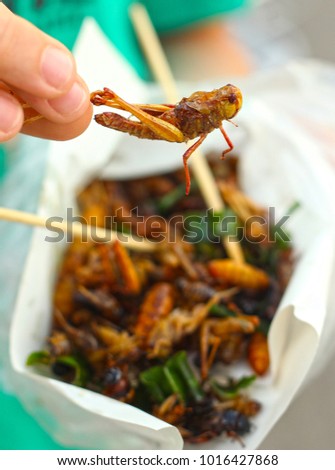 silkworm beetle grasshopper insects mixture roasted with onion close up photo with human hand