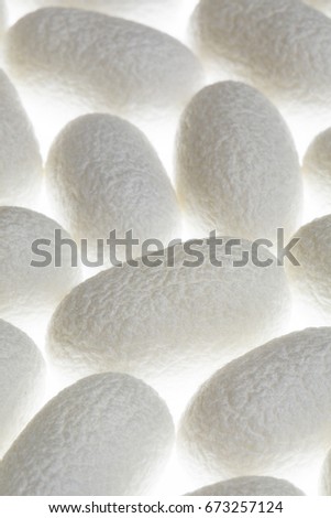 Silkworm cocoon
