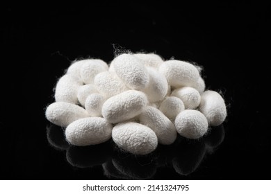 The Silkworm Cocoon Isolated On Black Background