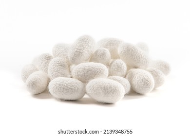 The Silkworm Cocoon Isolated On White Background