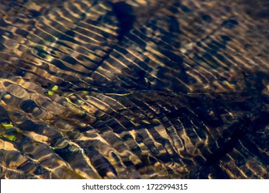 Silky Ripples In Water Of A Crystal Clear Water Creek As Idyllic Natural Background With High Angle View Shows Zen Meditation And Little Waves In A Healthy Mountain Spring With A Clear Floating Stream