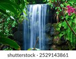 Silky waterfall in jungle in Philippines 