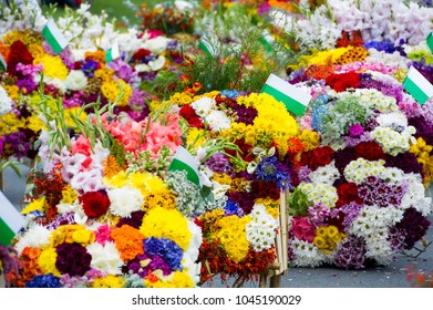 Silleteros Parade, Flower Fair, Medellin, Antioquia, Colombia