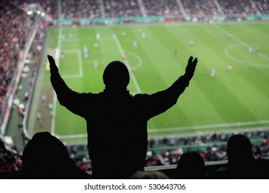 Sillhouette Of Cheering Fan In Stadium