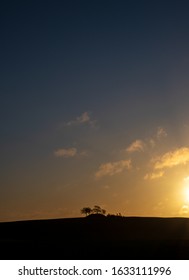 Sillhouette Horizon With Trees And Farm House
