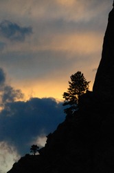 A Sillhoutte Of A Tree On The Slopes Of Mount Rushmore, Contrasted Against A Bright Sunset.
