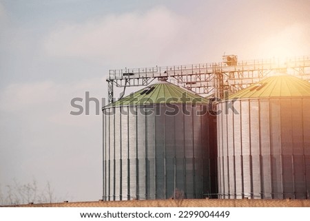 Sillos with grain in the field. Agricultural Silos for storage and drying of grains, wheat, corn, soy, and sunflower.