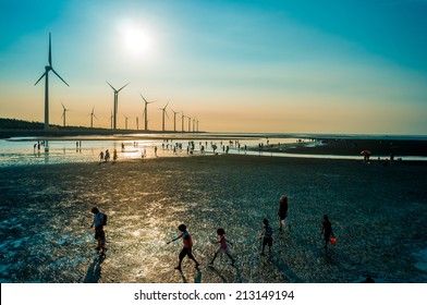 sillouette of Wind turbine array at seashore wetland