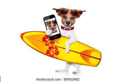 Silly Funny Cool  Surfer Dog Holding  Fancy Surf Board Taking A Selfie, Isolated On White Background