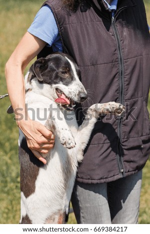Silly, funny dog standing on two legs near owner, woman hugging friendly smiling dog outdoor, animal shelter concept