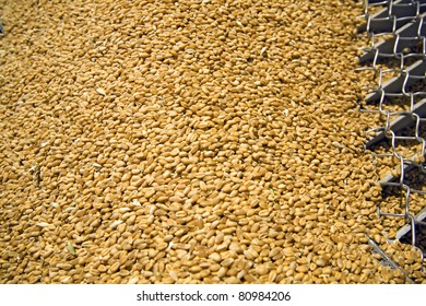 Silo Wheat Entrance Through Silo Grid Stock Photo 80984206 | Shutterstock