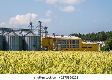 Silos And Agro-industrial Livestock Complex On Agro-processing And Manufacturing Plant With Modern Granary Elevator. Chicken Farm. Rows Of Chicken Coop