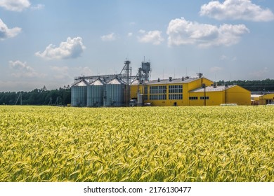 Silos And Agro-industrial Livestock Complex On Agro-processing And Manufacturing Plant With Modern Granary Elevator. Chicken Farm. Rows Of Chicken Coop