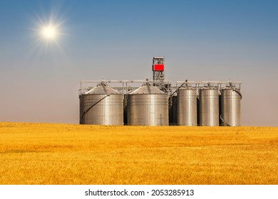 Silos In A Barley Field. Storage Of Agricultural Products. Silage Grain. 