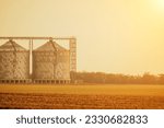 Silos and granary elevator. Modern agro-processing manufacturing plant with grain-drying complex. processing, drying, cleaning, and storing agricultural products in wheat, rye or corn fields