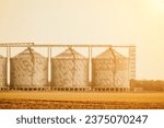 Silos and granary elevator. Modern agro-processing manufacturing plant with grain-drying complex. processing, drying, cleaning, and storing agricultural products in wheat, rye or corn fields