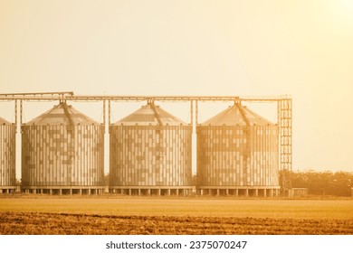 Silos and granary elevator. Modern agro-processing manufacturing plant with grain-drying complex. processing, drying, cleaning, and storing agricultural products in wheat, rye or corn fields