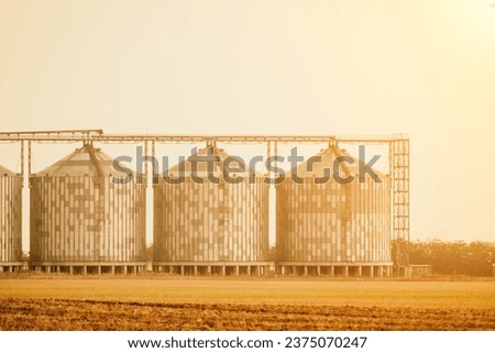 Silos and granary elevator. Modern agro-processing manufacturing plant with grain-drying complex. processing, drying, cleaning, and storing agricultural products in wheat, rye or corn fields