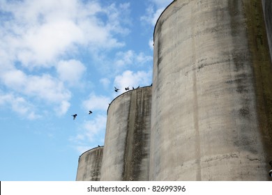 Silos in a row with doves on the top.
