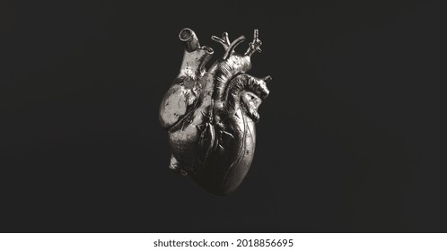 Silver Anatomical Heart. Anatomy and medicine concept image.