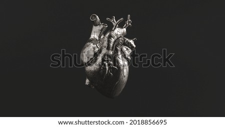 Silver Anatomical Heart. Anatomy and medicine concept image.