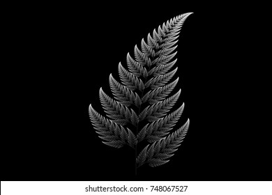 Silver Barnsley Set Fern Abstract Fractal Illustration Useful As A Background