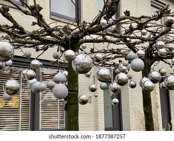 Lot Of Silver Christmas Lights Hanging Outside On A Tree With No Leaves. In The Background Is A Bright Building With Windows. Preparing For New Year And Christmas. Decorations And Design