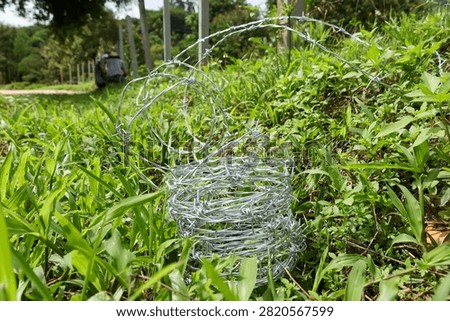 Silver coiled barbed wire rests heavily on vibrant green grass outdoors creating harsh protective boundary feeling restricted and forbidding against peaceful rural landscape background
