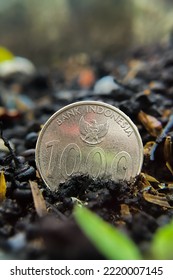 Silver Coin Indonesia Money On The Ground Macro Photography