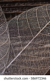 Silver decorative transparent  skeleton leafs on the wooden background. Close view. Macro. Details of wonderful white vein leaf.