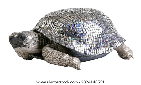 Silver disco ball mosaic shell turtle sculpture
