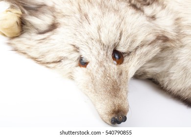 Silver fox fur texture - Shutterstock ID 540790855