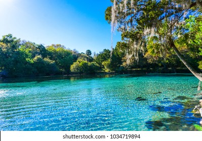 Silver Glen Springs Recreation Area Florida Stock Photo 1034719894 ...