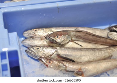 Silver Hake Fish On Ice In The Market