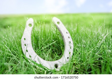 the silver horseshoe lies in the green grass