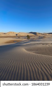 Silver Lake Sand Dunes In Michigan, USA