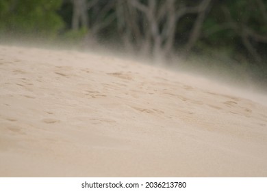 Silver Lake State Park, Michigan