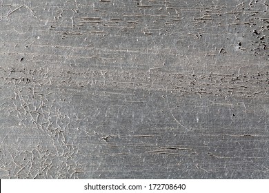 Silver Leaf Texture