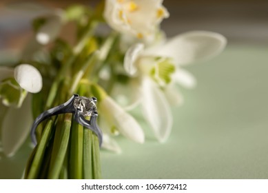 Silver ring macro