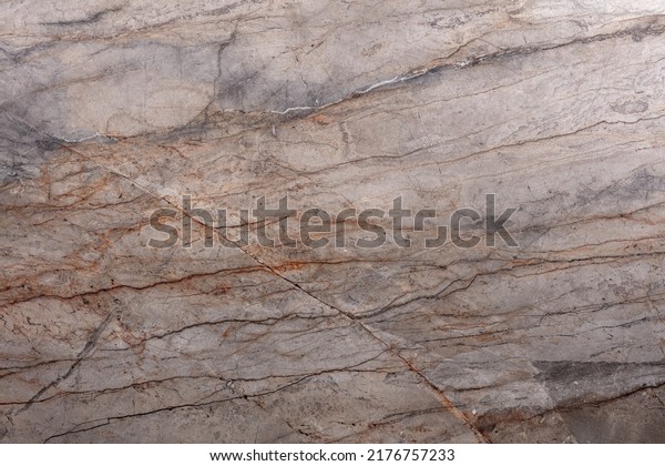 Silver Roots Marble Background Texture Stylish Stock Photo 2176757233 ...