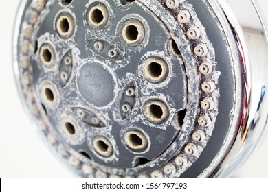 Silver round shower head with hard water deposit all around the sprinklers close up macro side shot isolated against light gray backdrop 2019