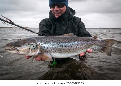 Silver sea trout - swedish sea coast trophy