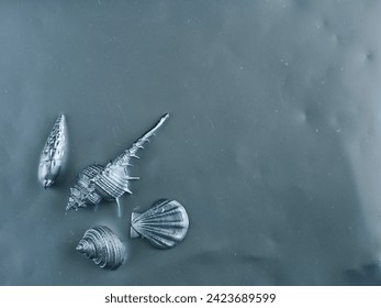 Silver seashells on metal surface and copy space, marine life concept. - Powered by Shutterstock