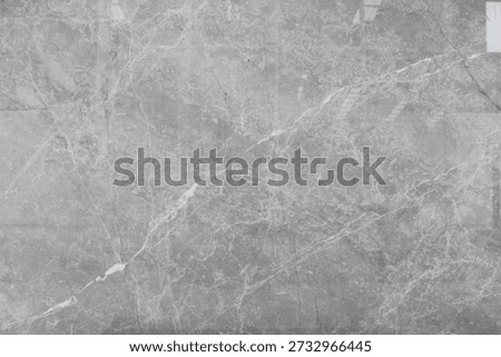 Silver Shadow marble surface texture with unique crisscross vein patterns for premium building materials.