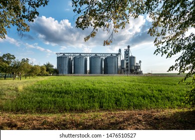 silver silos on agro manufacturing plant for processing drying cleaning and storage of agricultural products, flour, cereals and grain with beautiful clouds