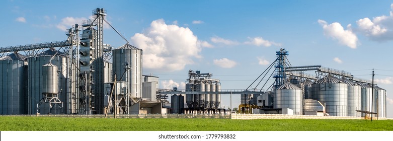 silver silos on agro-processing and manufacturing plant for processing drying cleaning and storage of agricultural products, flour, cereals and grain. Granary elevator. 