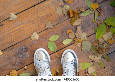 Silver Sneakers On The Background Of Wood And Leaves