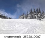 Silver Star Ski Resort, British Columbia, Canada. Beautiful ski slope with snow and pine trees