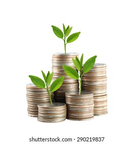 silver Thailand coins stack isolated and green treetop demonstrate the concept of growth in economic. - Shutterstock ID 290219837